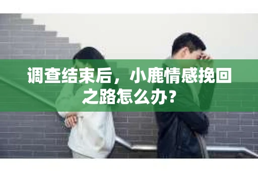 调查结束后，小鹿情感挽回之路怎么办？