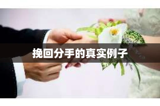挽回分手的真实例子