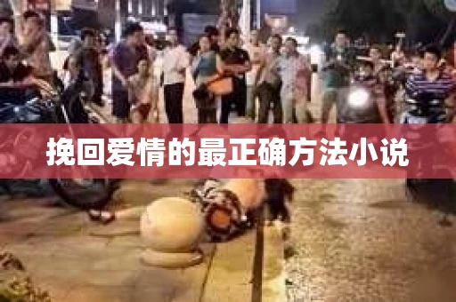 挽回爱情的最正确方法小说