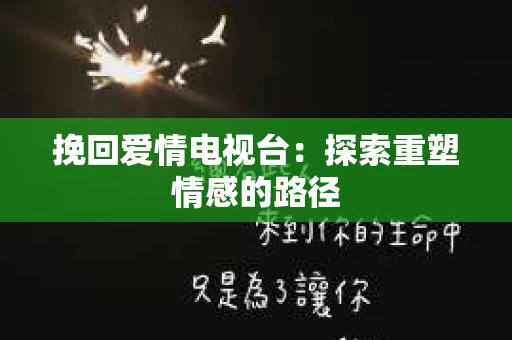 挽回爱情电视台：探索重塑情感的路径