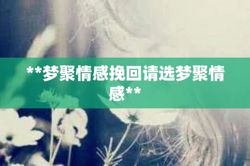 **梦聚情感挽回请选梦聚情感**