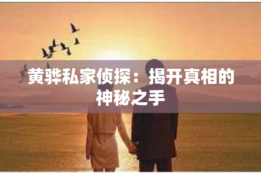 黄骅私家侦探：揭开真相的神秘之手