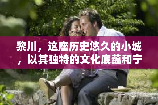 黎川，这座历史悠久的小城，以其独特的文化底蕴和宁静的生活节奏吸引着无数游客。然而，在这样一个看似平静的城市里，你是否会好奇，有没有私家侦探机构的存在呢？今天，就让我带你一探究竟。