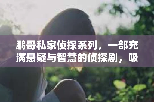 鹏哥私家侦探系列，一部充满悬疑与智慧的侦探剧，吸引了无数观众的眼球。今天，就让我带你走进这个充满神秘色彩的侦探世界，一起在线观看鹏哥私家侦探系列，感受那扣人心弦的故事情节。