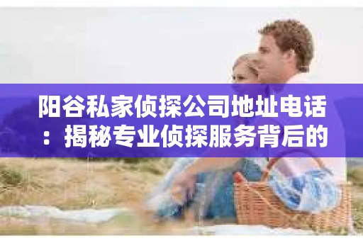 阳谷私家侦探公司地址电话：揭秘专业侦探服务背后的故事