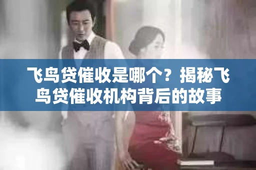 飞鸟贷催收是哪个？揭秘飞鸟贷催收机构背后的故事