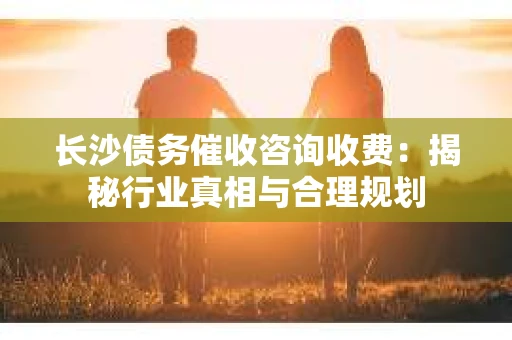 长沙债务催收咨询收费：揭秘行业真相与合理规划