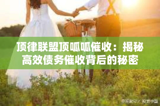 顶律联盟顶呱呱催收：揭秘高效债务催收背后的秘密