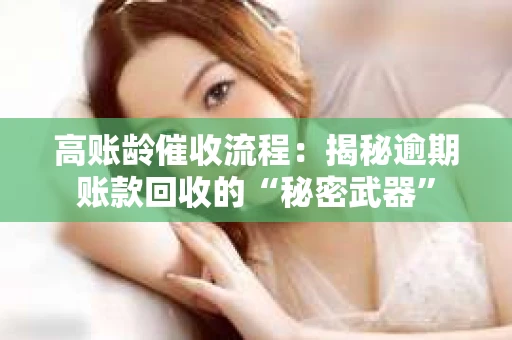 高账龄催收流程：揭秘逾期账款回收的“秘密武器”