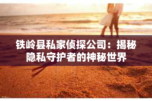 铁岭县私家侦探公司：揭秘隐私守护者的神秘世界