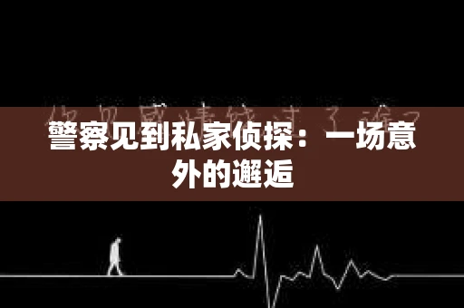 警察见到私家侦探：一场意外的邂逅