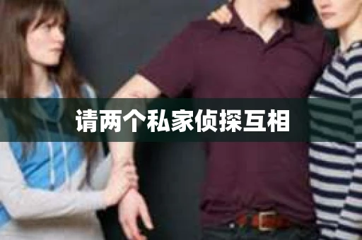 请两个私家侦探互相