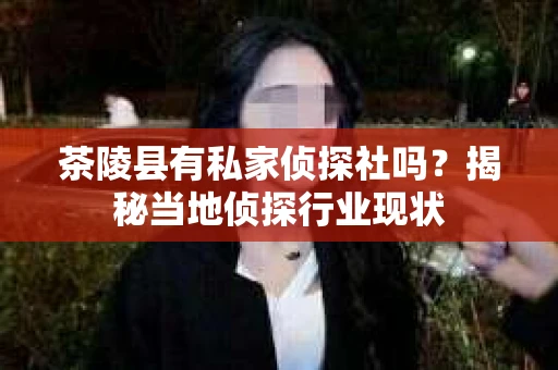 茶陵县有私家侦探社吗？揭秘当地侦探行业现状
