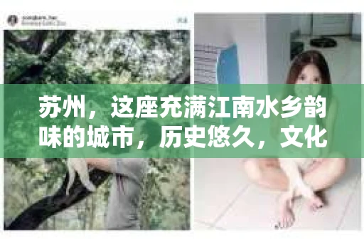 苏州，这座充满江南水乡韵味的城市，历史悠久，文化底蕴深厚。在这样一个充满故事的地方，私家侦探公司自然也不少。那么，苏州哪有私家侦探公司呢？今天，我就来给大家盘点一下。