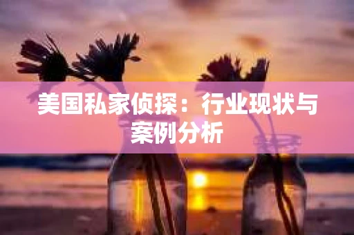 美国私家侦探：行业现状与案例分析