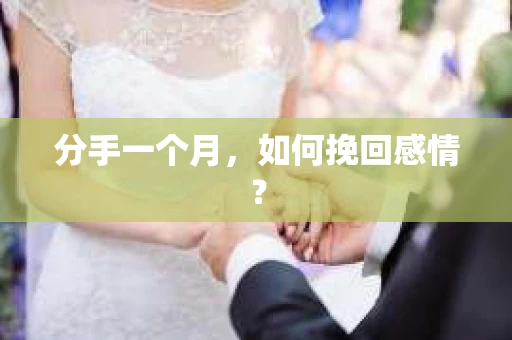分手一个月,如何挽回感情? 分手一个月,如何挽回感情?