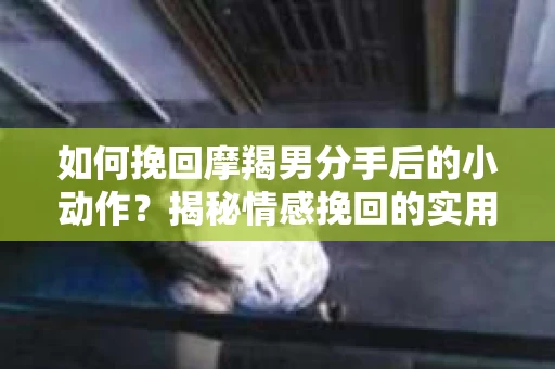 如何挽回摩羯男分手后的小动作？揭秘情感挽回的实用策略