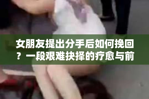 女朋友提出分手后如何挽回？一段艰难抉择的疗愈与前行之路
