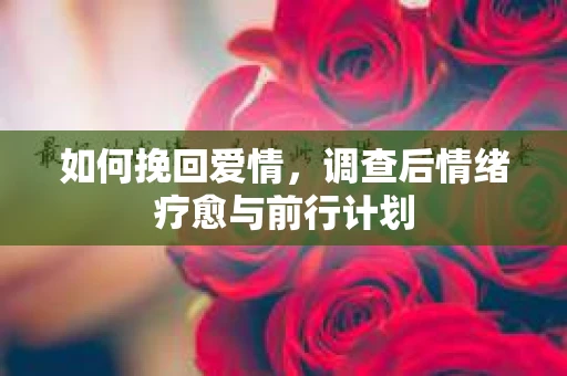 如何挽回爱情，调查后情绪疗愈与前行计划