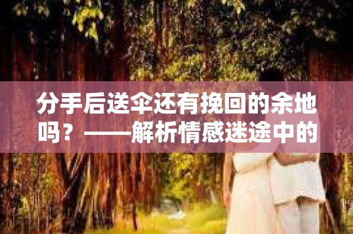 分手后送伞还有挽回的余地吗？——解析情感迷途中的决策