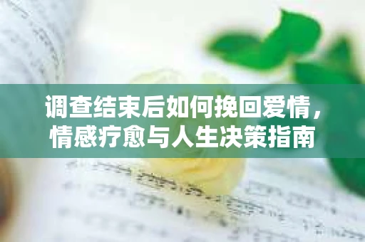 调查结束后如何挽回爱情，情感疗愈与人生决策指南