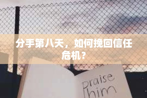 分手第八天，如何挽回信任危机？