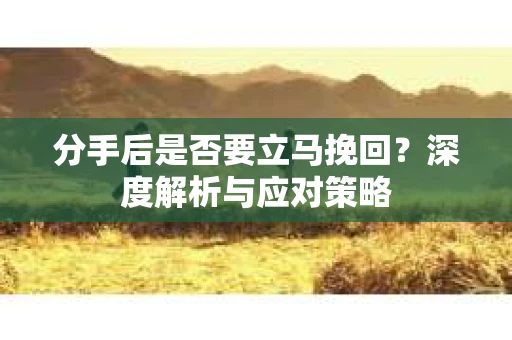 分手后是否要立马挽回？深度解析与应对策略