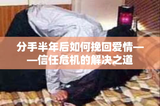 分手半年后如何挽回爱情——信任危机的解决之道
